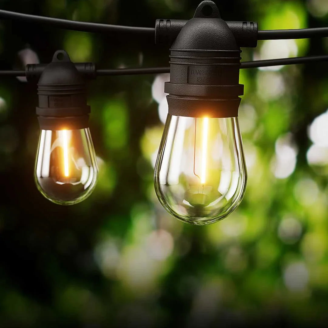 Garden Lights